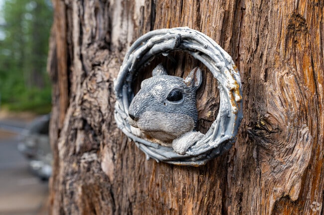 Residents like to add their own touch to this outdoorsy community.