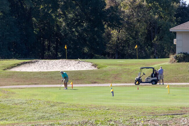 Elevation changes and wetland preserves accentuate the flowing terrain of Timbercreek.