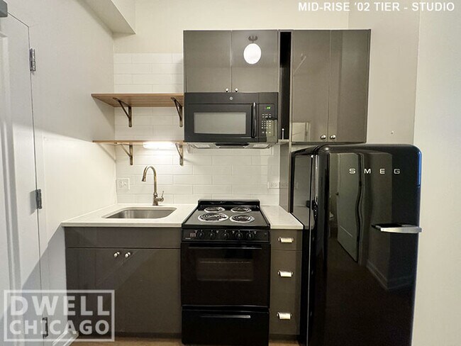 118 W Chicago Ave unit 2, Chicago, IL 60654 - photo 5