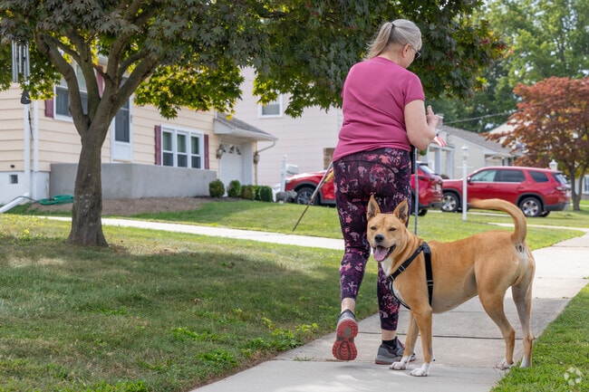 Residential dogs love the peaceful streets of White Horse for their long walks.