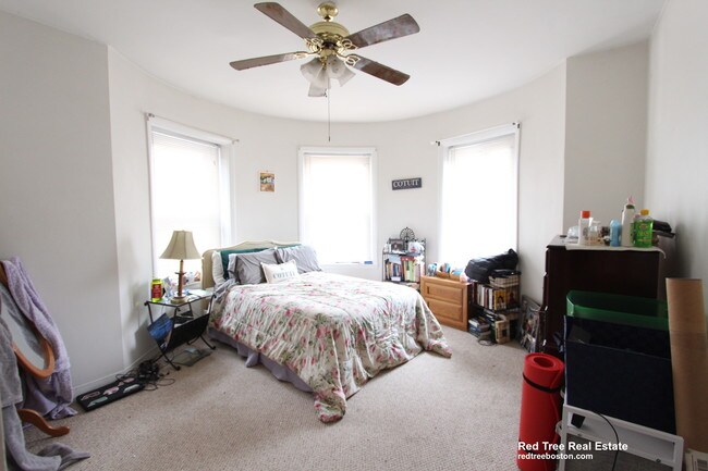 202 St Paul St unit 23, Brookline, MA 02446 - photo 5