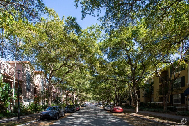 Miami Lakes is known for its long stretches of green streets with oak trees.
