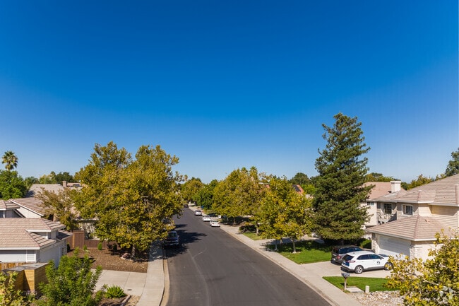 You will find tree-lined streets through out The City of Brentwood.