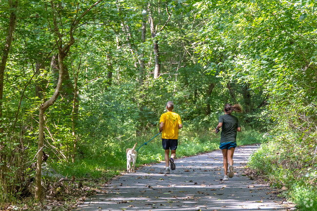 Joggers love the shady trails along the creek in Brandywine Creek State Park.