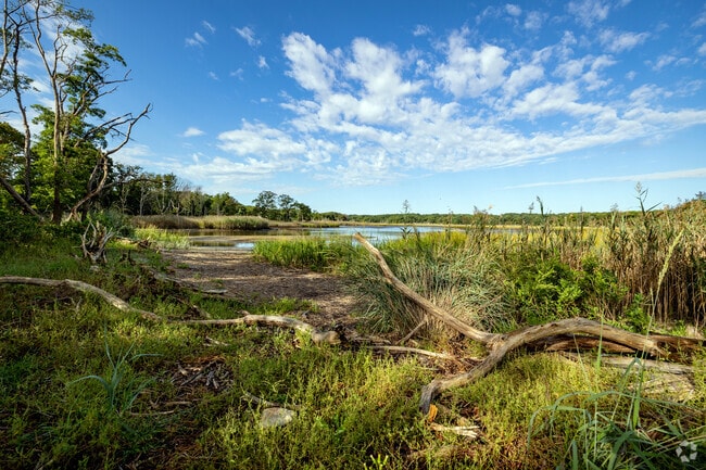 Sunken Meadow State Park is teeming with wildlife.