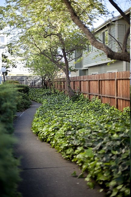 Camino Colegio Estates, Rohnert Park, CA 94928 - photo 5