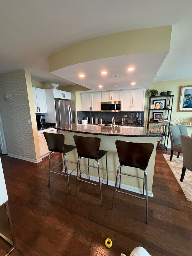 1640 Maple Ave Unit 1505, Evanston, IL 60201