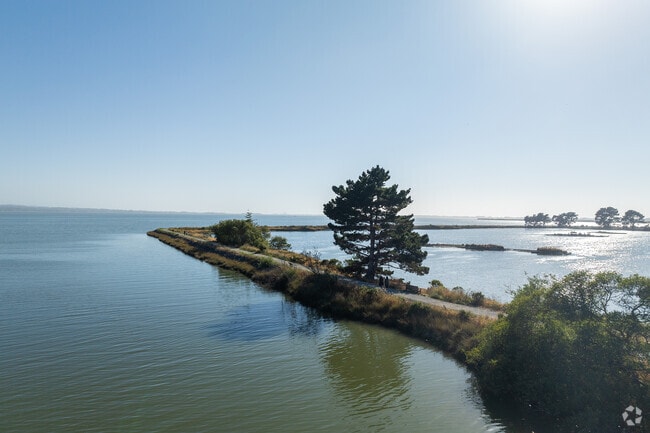 Bayside has miles of waterfront trails and bike paths.