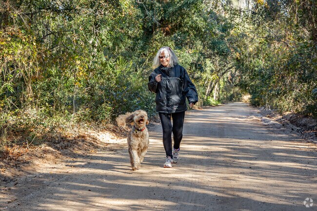 At Flat Island Preserve, in Leesburg visitors explore trails through the wooded wetland.