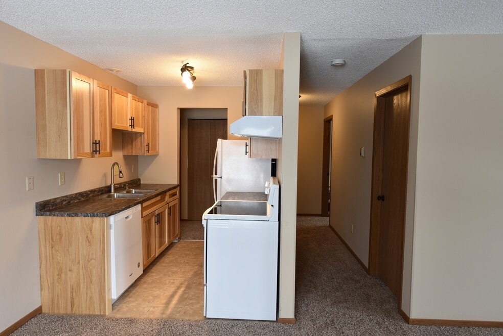 924 4th St SW unit 207, Forest Lake, MN 55025 - photo 1