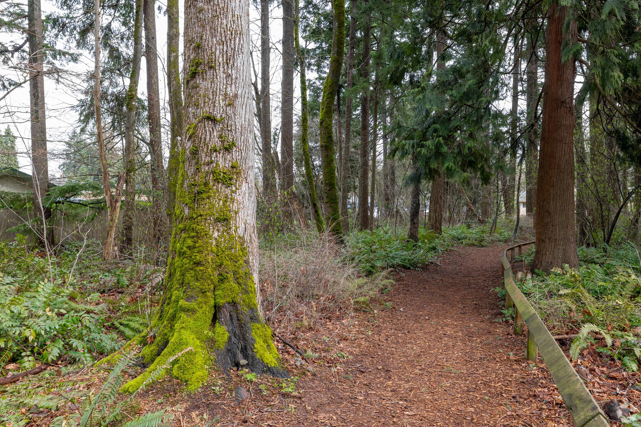 Trails at Homewood Park offer a relaxing reprieve from work in the city.