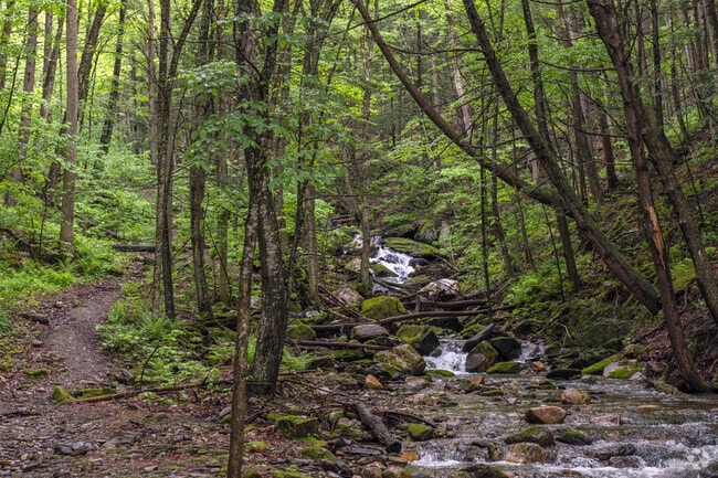 Greylock Glen in Adams is a recreational site at the base of Mount Greylock State Reservation where waterfalls abound.