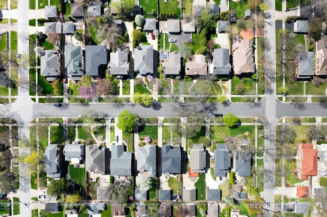 Park Ridge offers a variety of single-family homes laid out on a tree-lined grid.