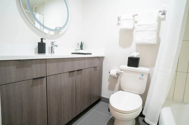 29 E Chestnut St, Chicago, IL 60611 - photo 7