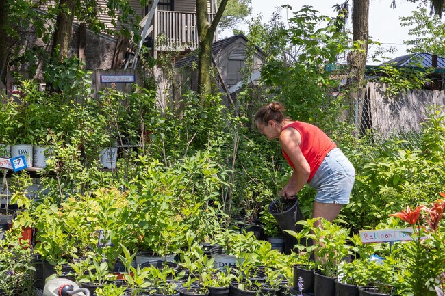 The community in Roosevelt Park takes pride in their yards and homes.