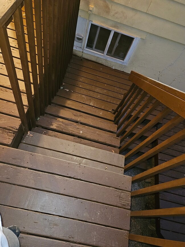 Back steps