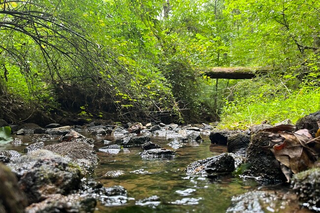 Ribbonwalk Nature Preserve is a world away just outside of Mineral Springs.