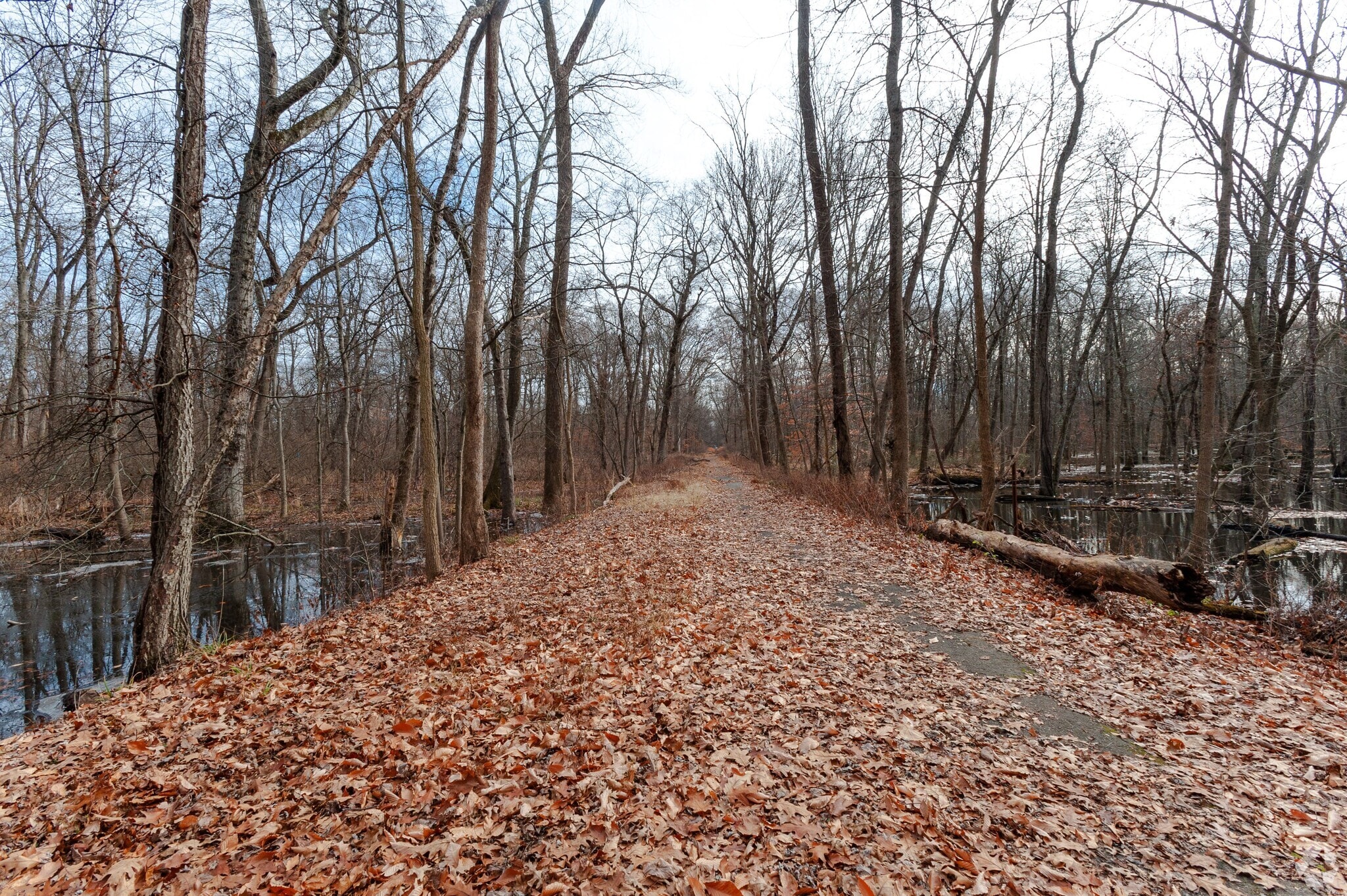 About Packanack Lake Schools, Demographics, Things to Do