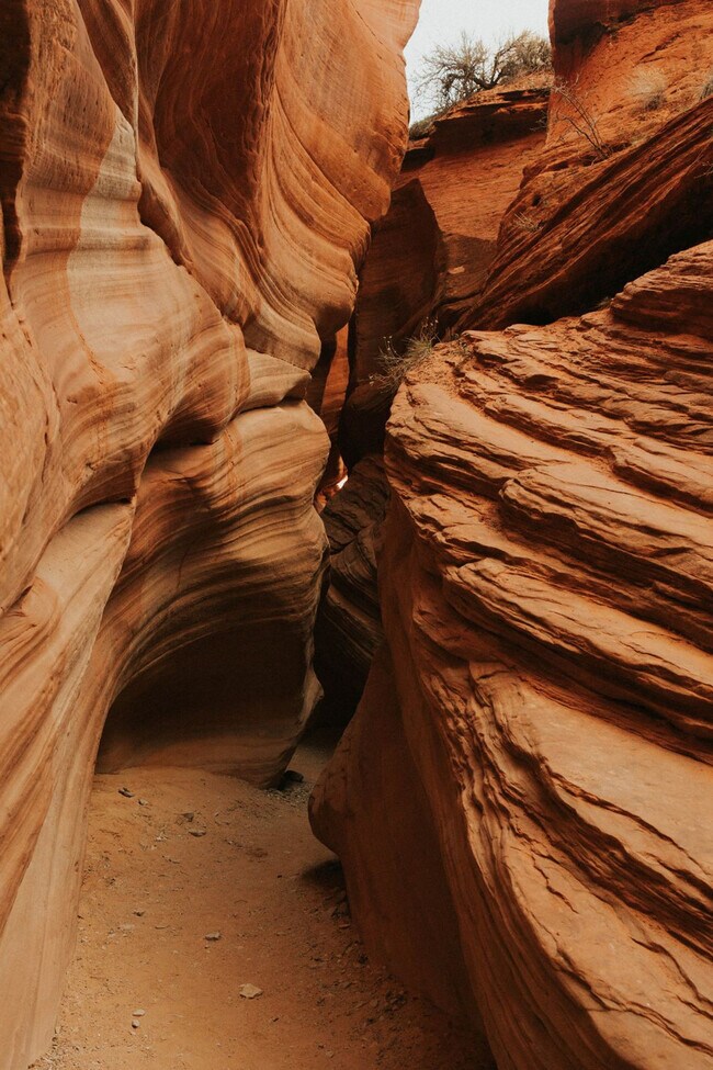 523 W Vance Dr unit ID1249895P, Kanab, UT 84741 - photo 3