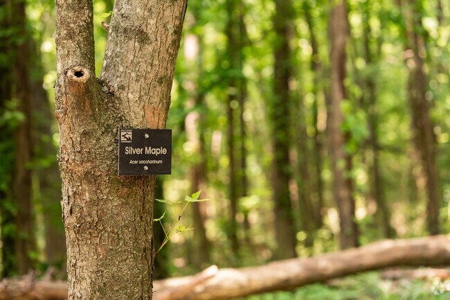 The Wolf River Greenway just north of Poplar Estates features an arboretum.