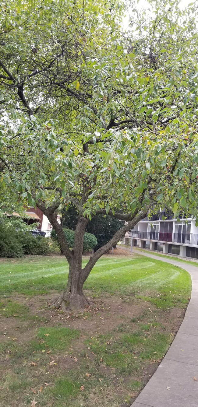 Seven Stories East Condominiums unit 226, Akron, OH 44312 - photo 7