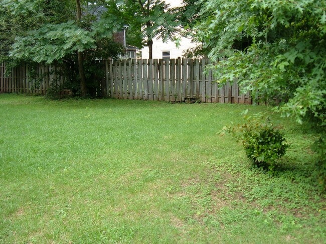 Fenced-in Backyard : CATS or SMALL DOGS PREFERRED