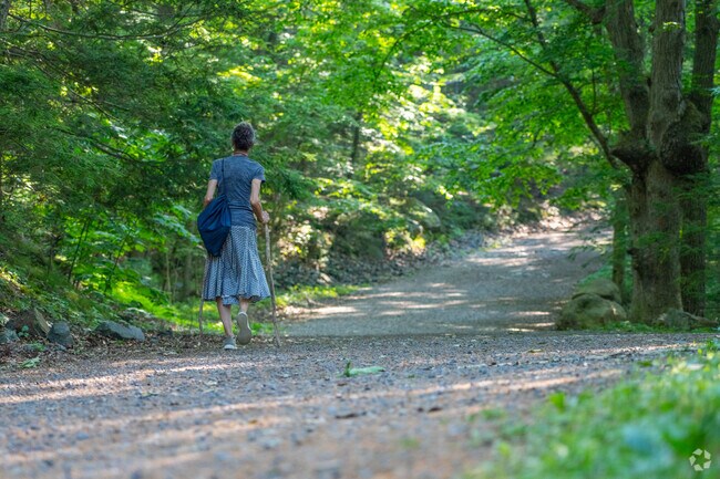 Break in your hiking stick along the Lynn Woods Reservation trail near Parkland Avenue.
