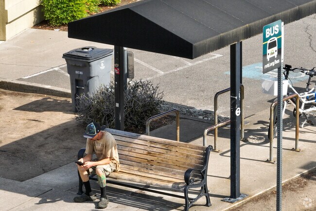 Bus stops are common to find throughout Cottage District.