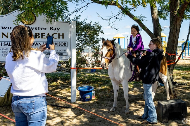 Ransom Beach Waterside Festival brings seasonal fun to Bayville.