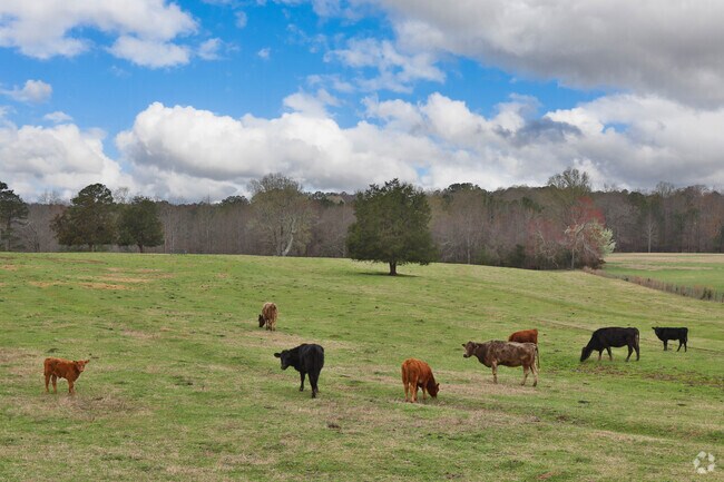 Lard tracts of farmland are a common sigh in more rural parts of Pickens, SC.