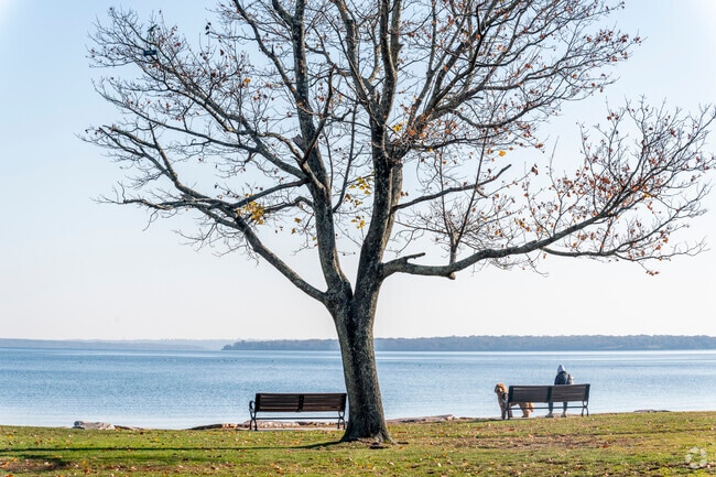 Start your morning or end your day at Wickford Village's dog friendly beach in North Kingstown.