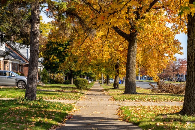 Enjoy scenic walks in and around Mohican Regent.