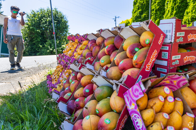 Entrepreneurial residents sell fruit in Lowell during the summer.