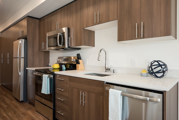 Junction Flats and Landing, Seattle, WA 98116 - photo 6