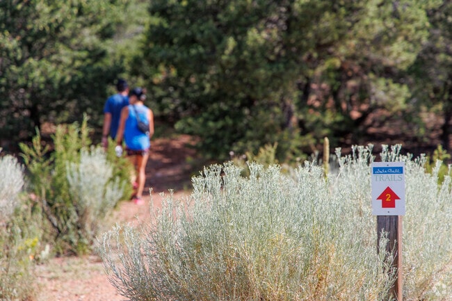 Many hiking trails can be found near Hyde Park for hikers and casual walkers.
