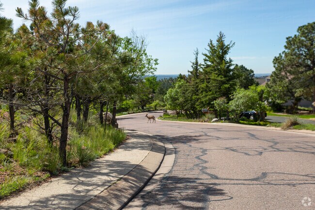 Nature is never far away in Oak Hills.