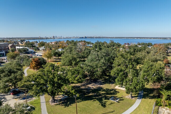 Nature lovers relax amidst the greenery of Drew Park.