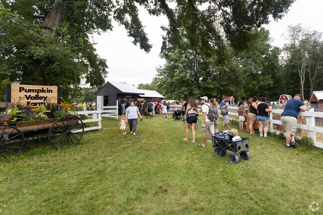 The annual Sunflower festival is held at the Pumpkin Valley Farm near North Biddeford.