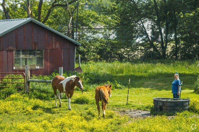 Enjoy a rural lifestyle with farm animals in Daleville, IN.