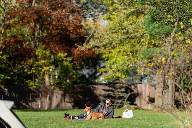 Plenty of parks in Williamsville make enjoying nature in the area easy to access.