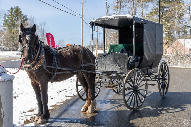 Cars aren't the only form of convenient transportation around Greene.