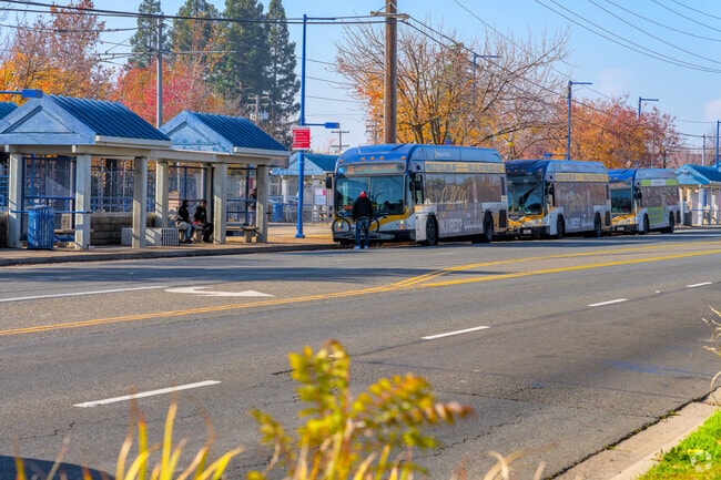 Buses stack up at the Arden/Del Paso Station south of Richardson Village.