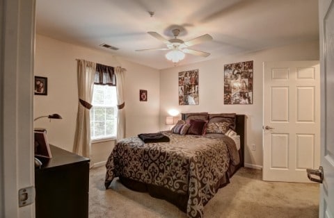 Patriots Hollow, Conway, SC 29526 - photo 3