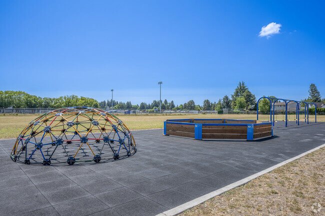 Jungle gym and swings at Minter Brown Elementary School in Hillsboro, Oregon.
