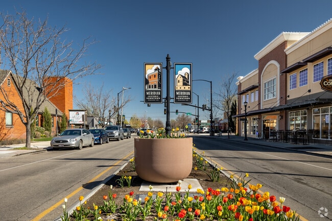 Tulip blooms bring color and cheer to Downtown Meridian.