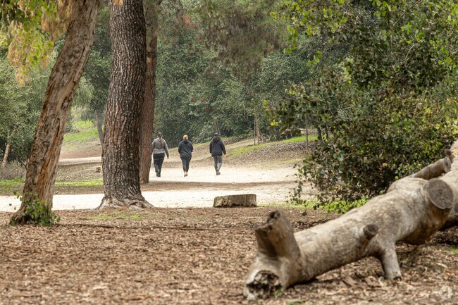 Stroll underneath lush green trees along the trails near Friendly Hills.