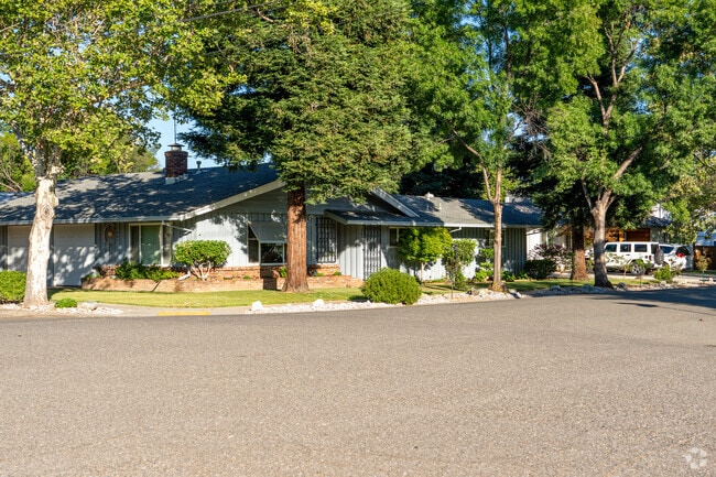Tall sycamore and oaks provide shade throughout Garden Tract.