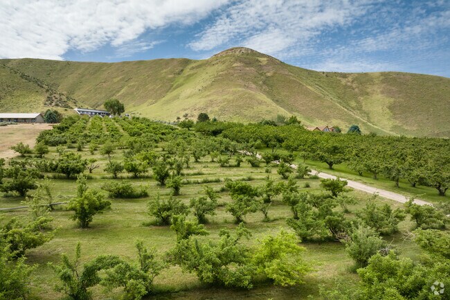 Cherry and apple orchards spread throughout the valley in Gem County.