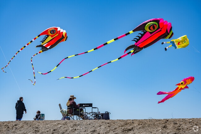 Four giant kites fill up the sky for Soaring Hearts at Mentor Headlands.