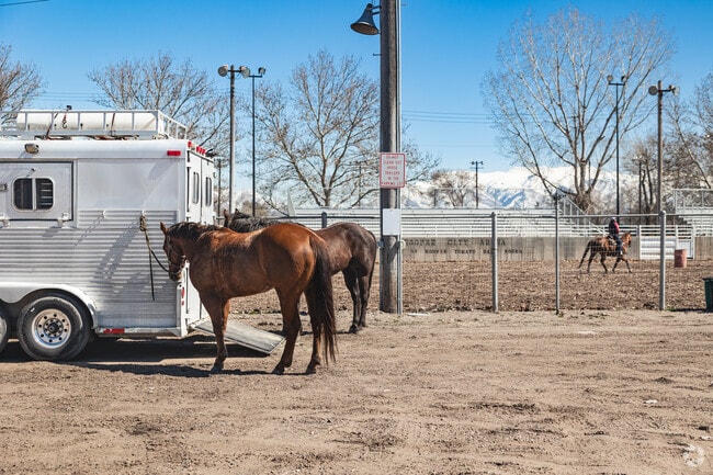 Horses wait their turn to train at Hooper City Arena in Hooper.